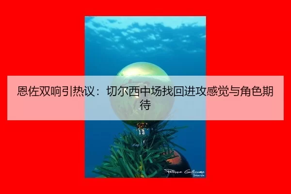 恩佐双响引热议：切尔西中场找回进攻感觉与角色期待